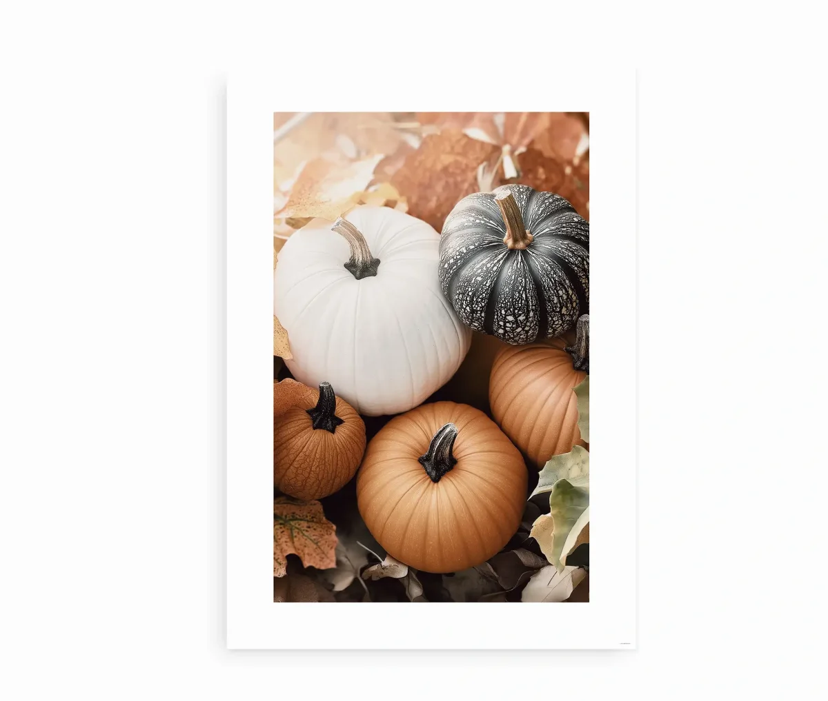 Autumn Pumpkins - Billede 2