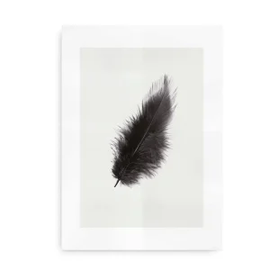 Black Swan