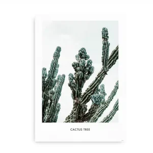 Cactus Tree
