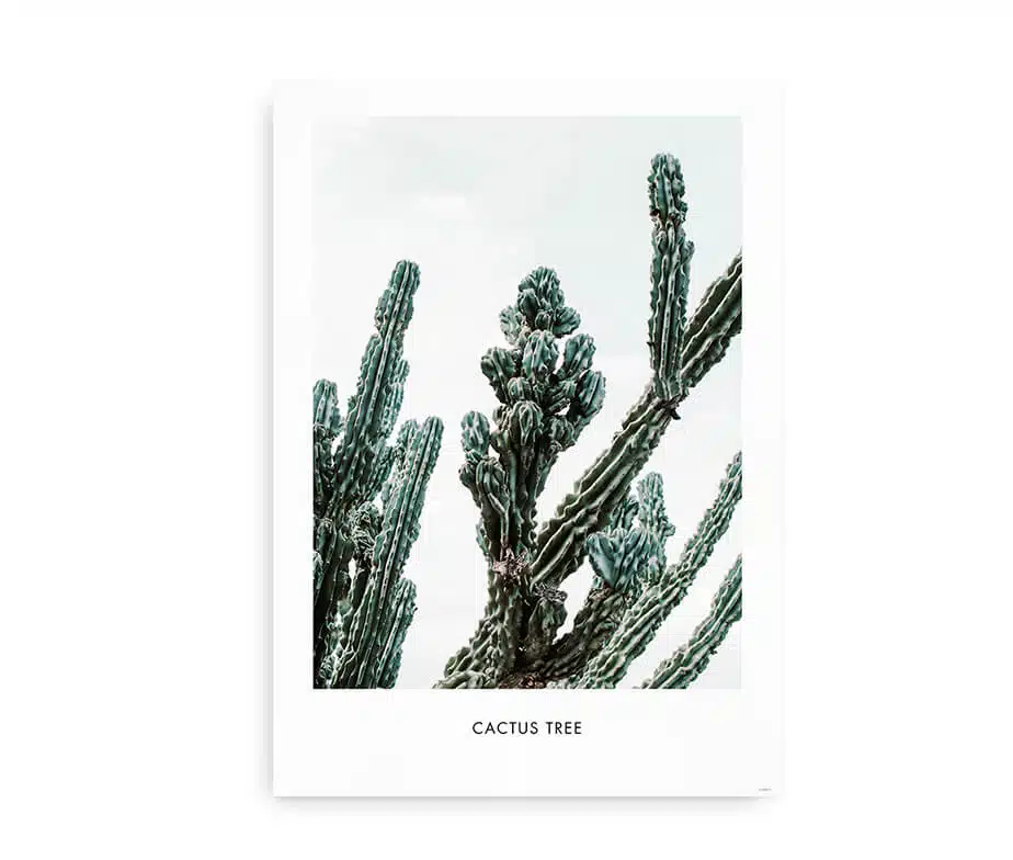 Cactus Tree - Billede 2