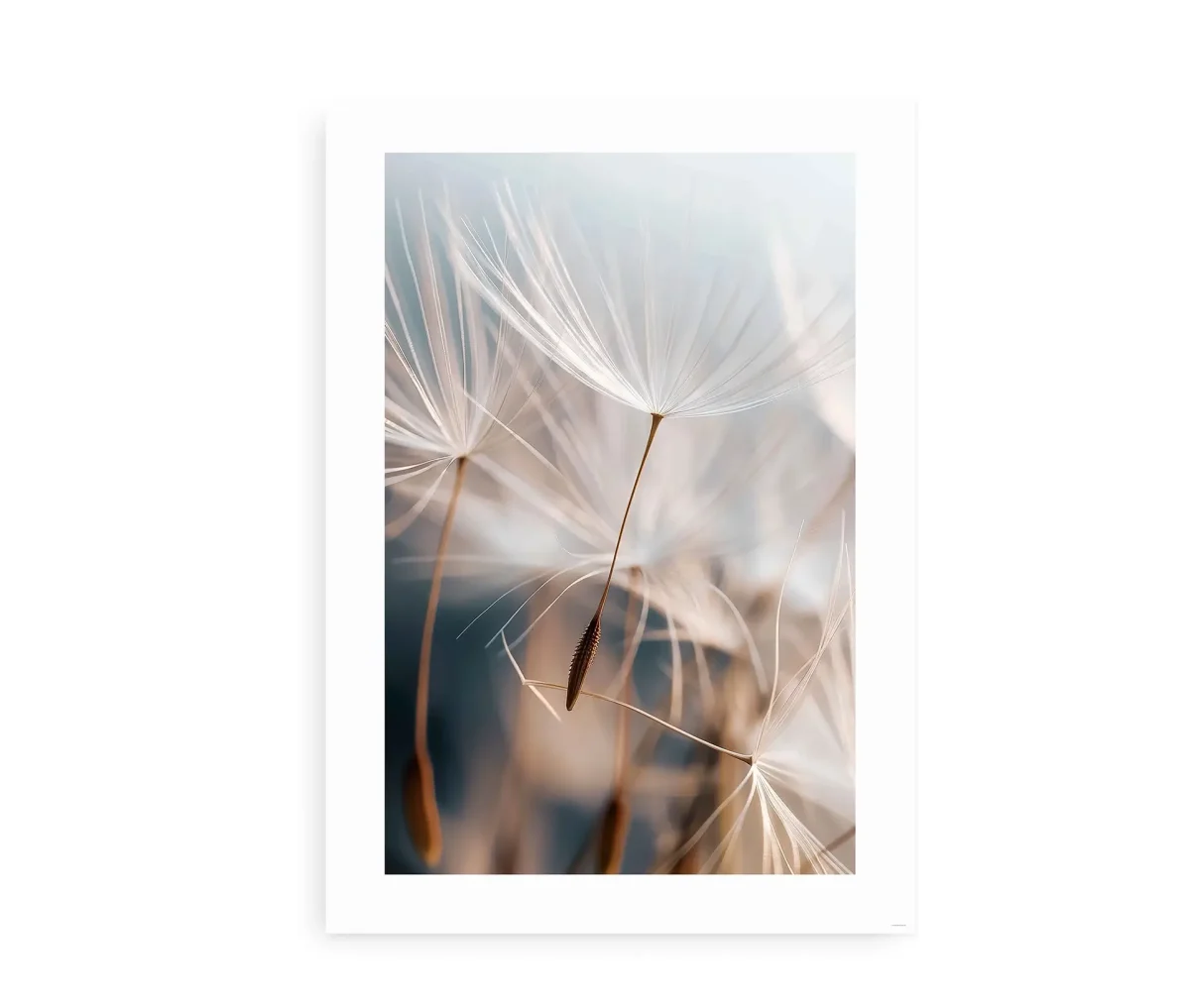 Flight of the Dandelions - Billede 2