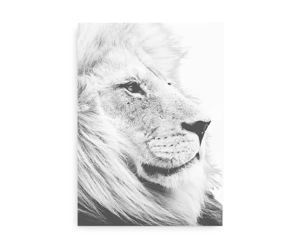 Lion Heart - Billede 2