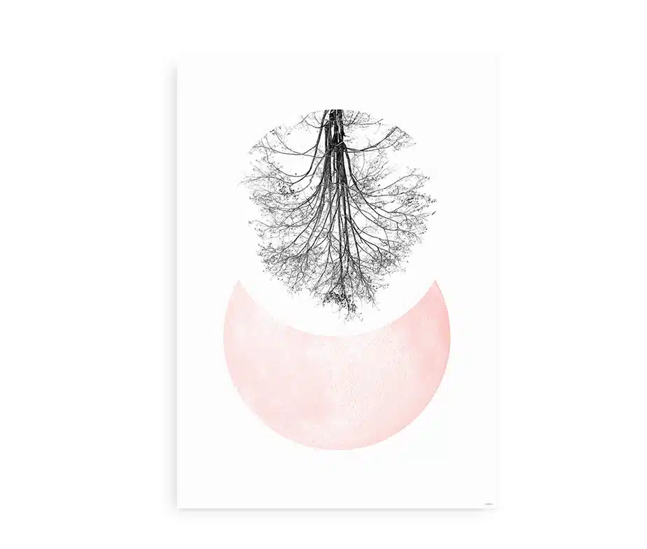 Moon Tree - Billede 2