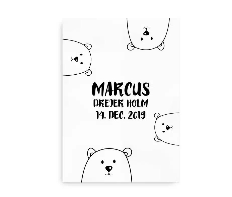 Polar Bears - Billede 2