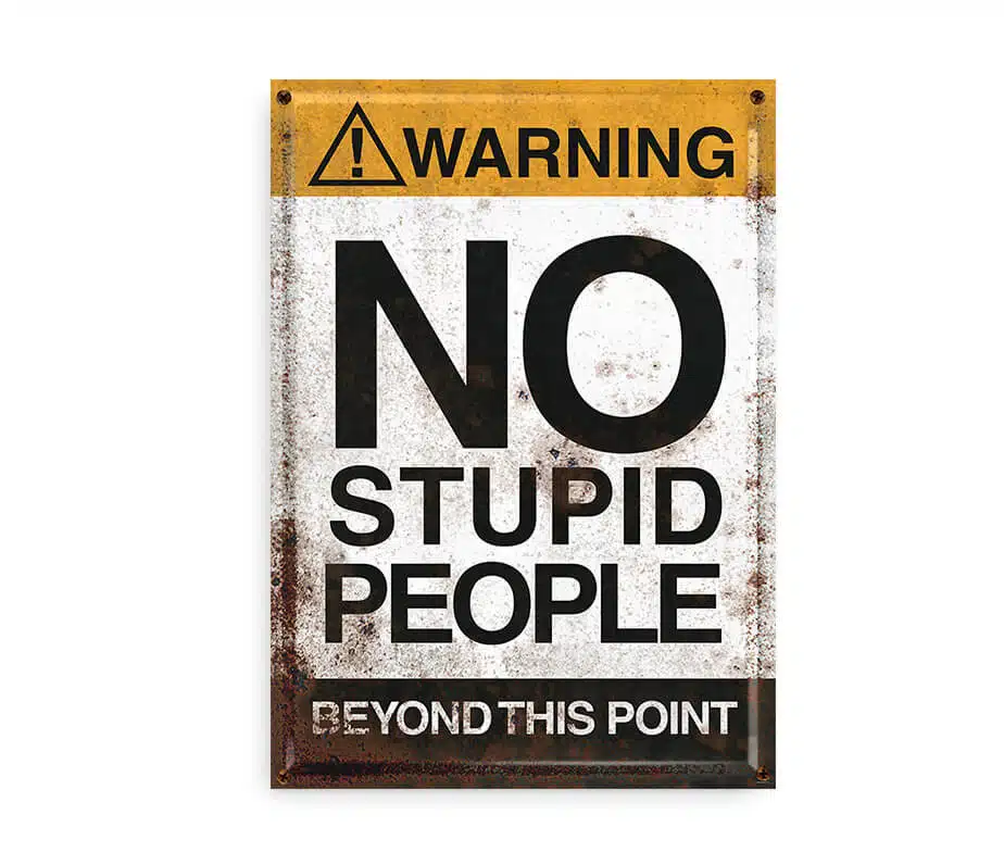 No Stupid People - Billede 2