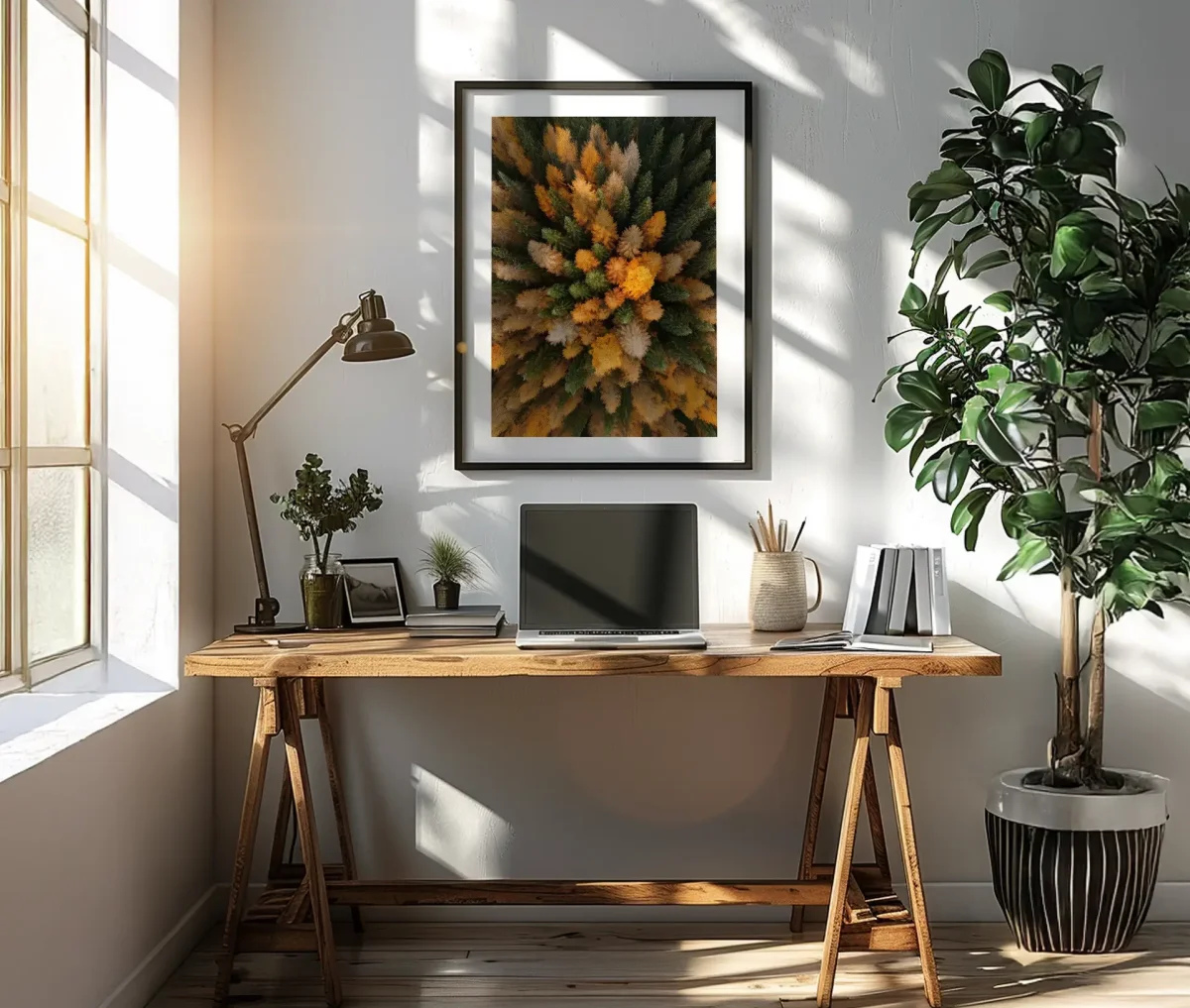 Forest View - Billede 4