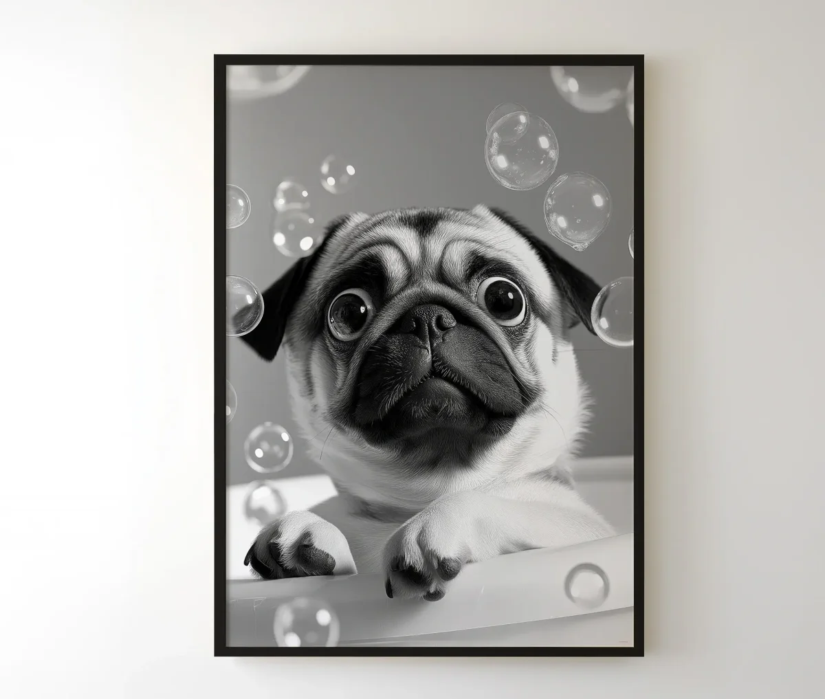 Mops i bad - Billede 3